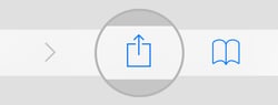 iPhone home screen pin